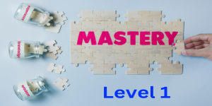 Mastery 1 - Flow Of Coaching